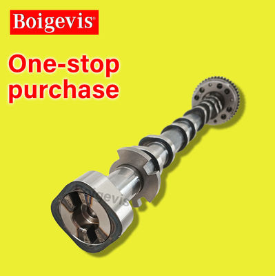 Shanghai Volkswagen Lingdu 2015-2022 Wartość przesuwacza 06J109022AG